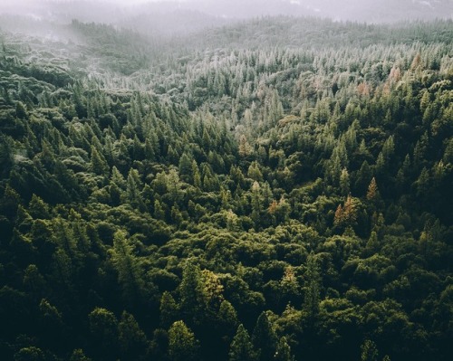 delta-breezes: Tobias Hägg | @airpixels