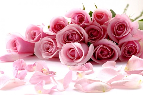 @candyskinkyplace   I’m sorry for your loss.