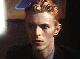 This Is David Bowie. Re Blog Him For Extra Good Luck.