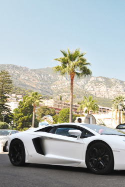 urban-exhaust:  themanliness:  Lamborghini