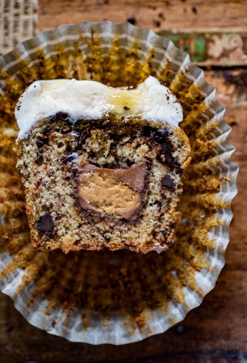 fullcravings:Chocolate Banana Bread Reese’s Stuffed Muffins