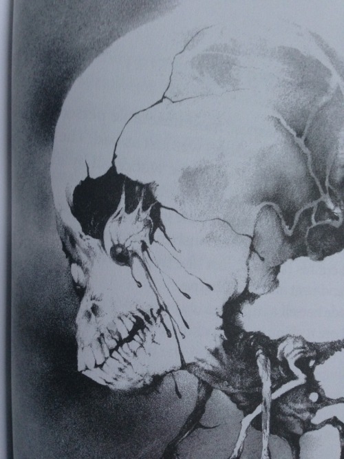 unexplained-events:  Scary Stories to Tell In The Darkart by: Stephen Gammell