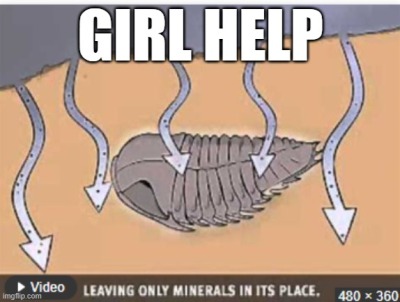fenbog:byteofsoup:fenbog:girl help my bed is perpetually filled with sediment and