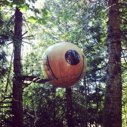 instagram:  A Stay Among the Treetops in the Free Spirit Spheres  To see more photos from these unique tree houses, explore the Free Spirit Spheres location page.  Suspended among the lush trees of Vancouver Island’s rainforest are some of the world’s