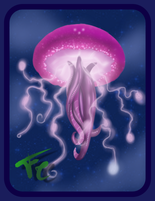 Drawing Of The Well-known Jellyfish And The Greatest Trophy Of The Triangle (after Calabras)