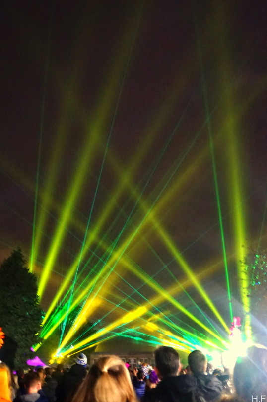 All The Lights In The Sky... (Illuminate The Gardens, Sheffield).