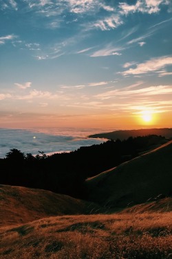 disgvised:Marin County, CA ~disgvised
