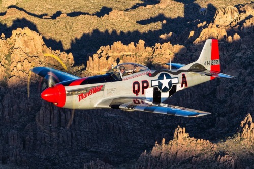 Beautiful Warbirds