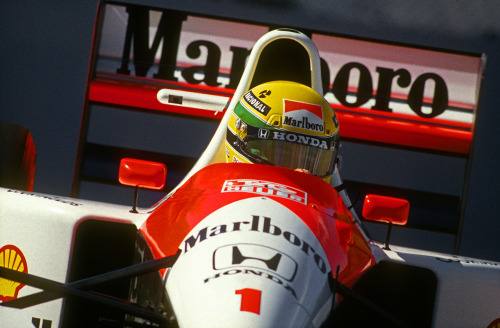 f1pictures: Ayrton Senna  1991