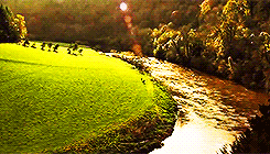 fiendfyred:  Of course it is happening inside your head, Harry, but why on earth