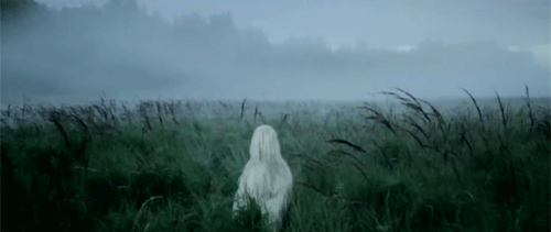 Field of Consciousness