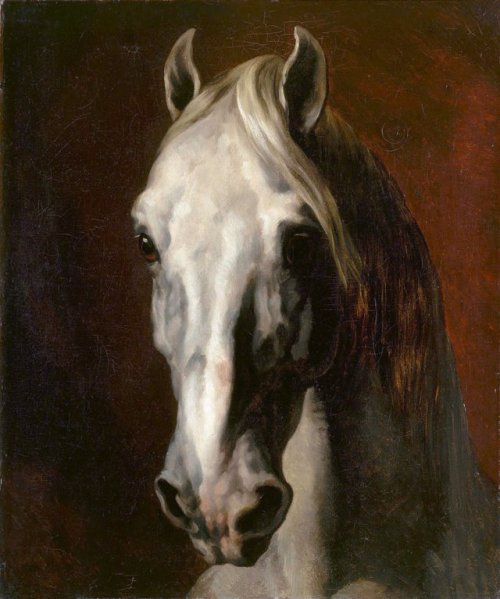 canforasoap:Théodore Géricault (1791-1824),  Tête de cheval blanc, 1815. Oil on canvas, 65 x 54 cm. Louvre