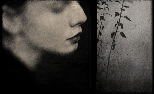 XXX tiucoelho:Antonio Palmerini photo