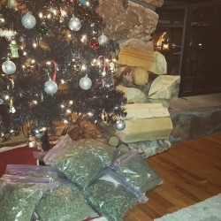 weedporndaily:  Merry Christmas Fam! 💨💨💪❄❄💚