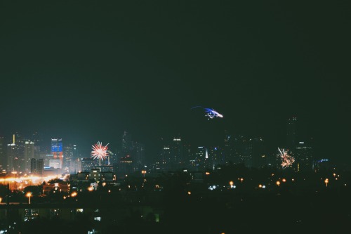 otariidaes:  4th of july | miami, florida 