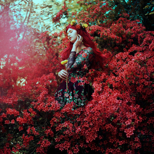 bellakotak: In the Ruby Garden…Photo series by @bellakotak​ | Instagram | FacebookBella&rsquo