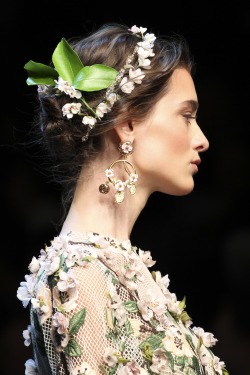 phe-nomenal:  Dolce & Gabbana Spring