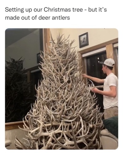 garlic-slut:Regardless of what you think of this tree… this comment was my favourite out of the collection of people who didn’t know deer shed their antlers every spring