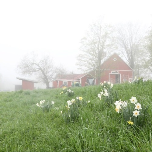 farmweather: Mornings like these. (at Vermont)