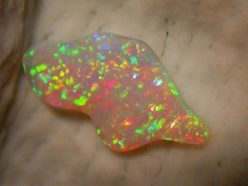 Opal Auctions