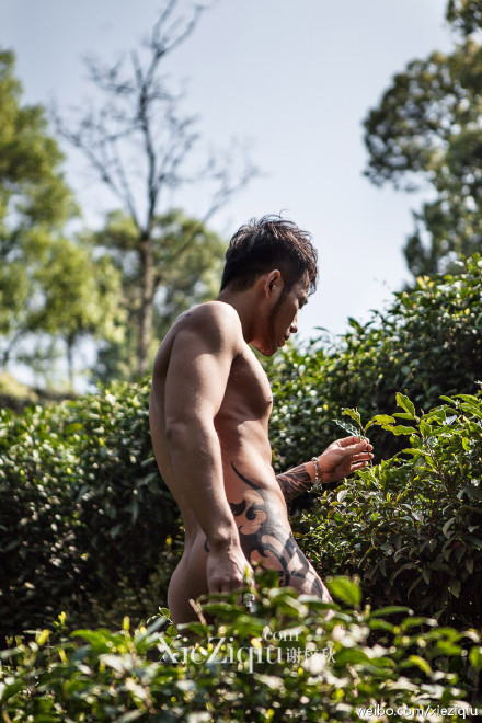 hairy nice men