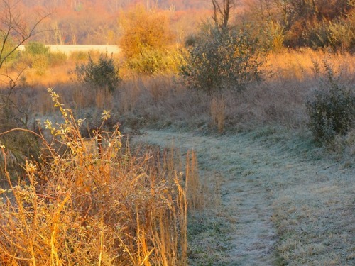 geopsych:Last November on the lake path.