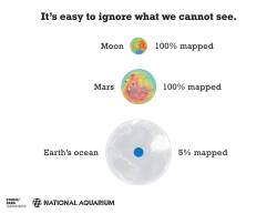 asapscience:  So there’s a 100% chance we’ll find new life in the ocean, then?  via ScienceAlert 