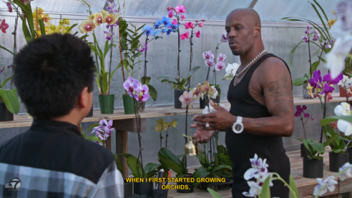 skipxd:  wickedl0ve:  queeeensuave:  lalaslands:  how to love others from abc and dmx!!!!!!  Wow   I love this  okay 