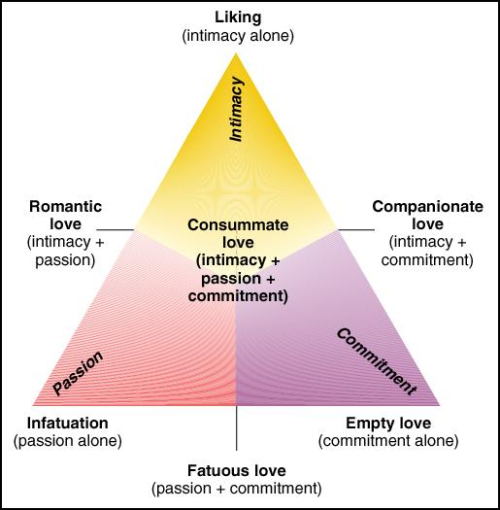 mypsychology:If you’re thinking of studying psychology, follow this @mypsychology.
