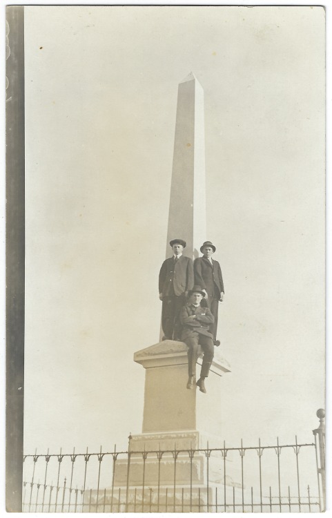 Perched on the obelisk. Etsy: markonpark