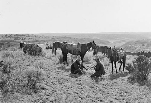 Sex thirtymilesout: Matador Range, Texas in 1909 pictures