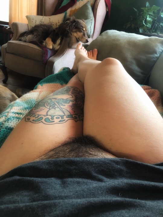 XXX feral-lotte:Might be time to trim the tree… photo