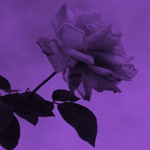 Prettydevil:  