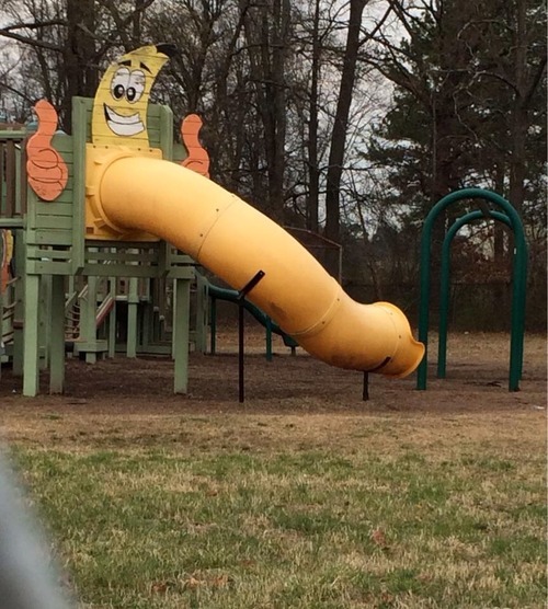 hilariousgifslol:  This is where I taught my kids about the birds and the bees. They