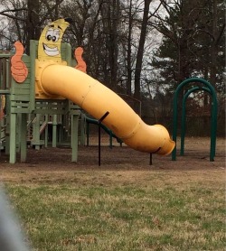 hilariousgifslol:  This is where I taught my kids about the birds and the bees. They said they never want to go back to the park again.. More Hilarious Gifs