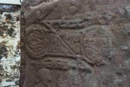 Eassie Pictish Symbol Stone, Angus, Scotland, 20.5.18.Perhaps one of the finest Pictish carved stone