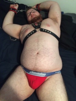 joshthebullpup:  An exhausted pup after master was done