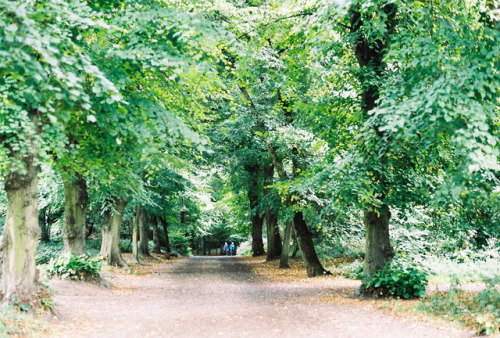 Up on Hampstead Heath.