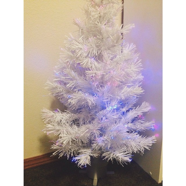 It’s Christmas in the Lovebug headquarters 😍 My tree reminds me of unicorns for some reason…? 🎄