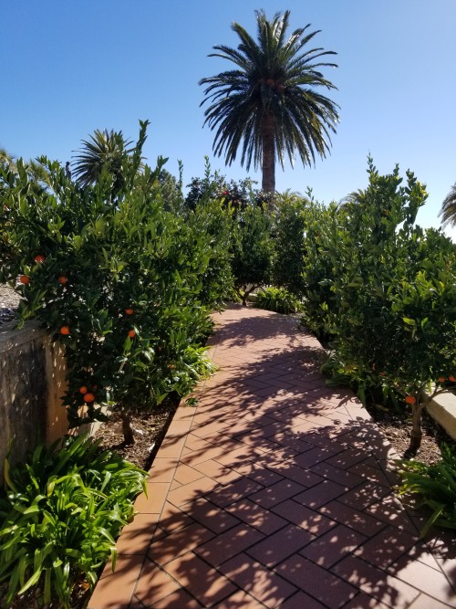Hearst Castle