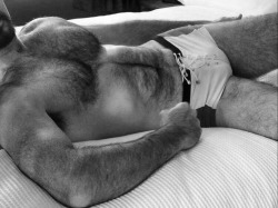 Hairy Hunky Men