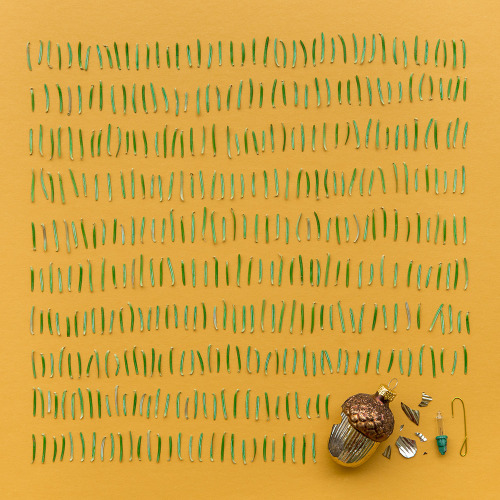 chasingsteeples:  coolthingoftheday:  Artist and photographer Emily Blincoe creates meticulously arranged collections of objects for her work. [x]  This makes me happy.