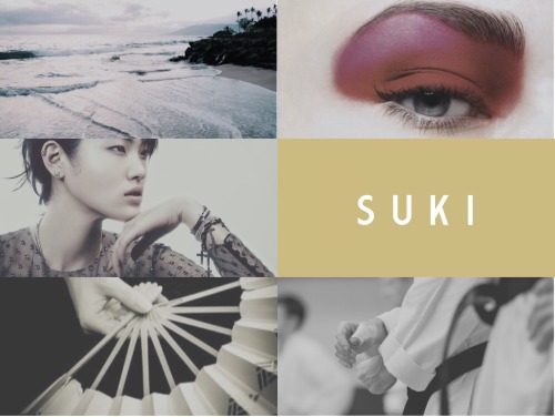 nebulaast: the gaang - aesthetics  ===  ( if y'all are liking my mood boards, feel free to
