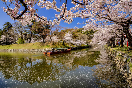 春の陣