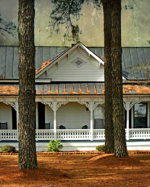 oldfarmhouse:“House in the Pines: Pitt County, North Carolina
