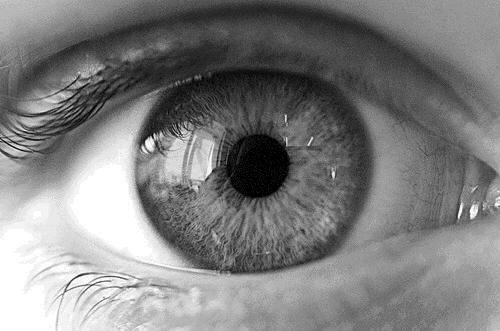 The Eyes don&rsquo;t lie&hellip;