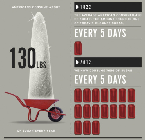 exercise-for-confidence:  Found this lovely chart on sugar while i was looking on design.org {source}  thought it was super interesting and that i’d share it with you guys :)  