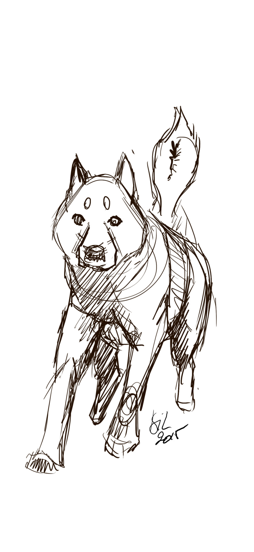 Doggy Sketches For Fun.