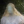 iiiddaaiaiaiaaida:it’s just about finding peace and being hot 