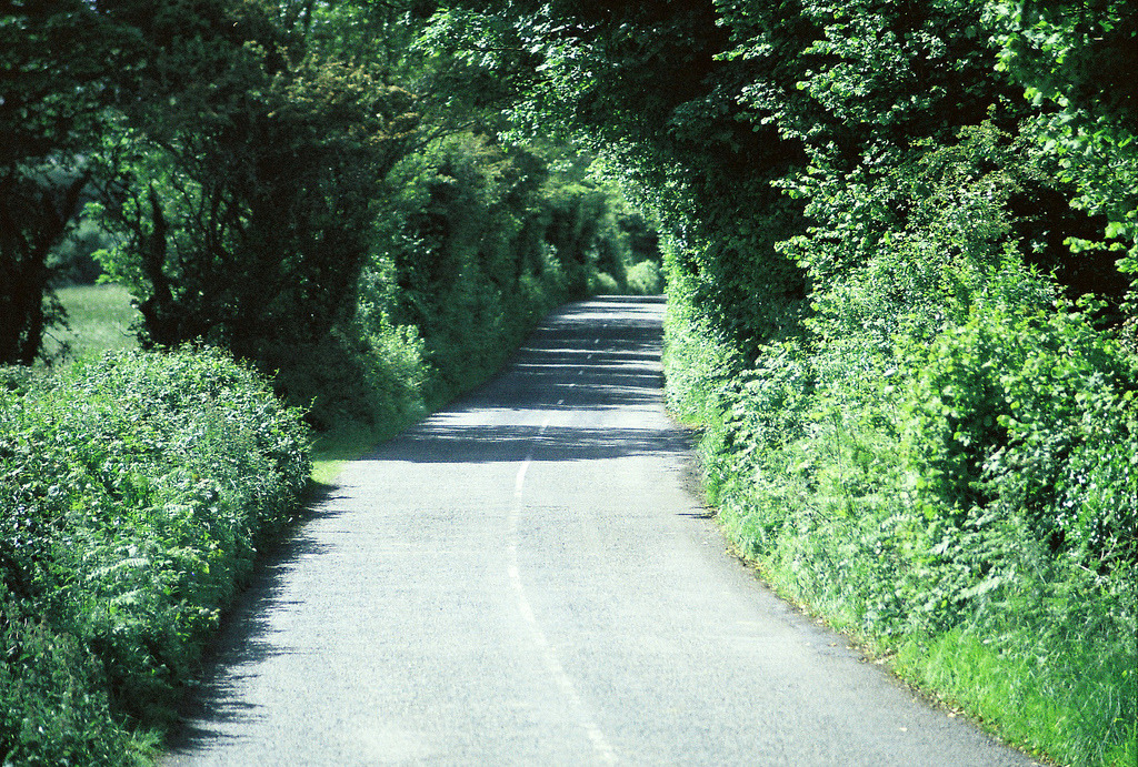 jacindaelena:   parker severns || Ireland